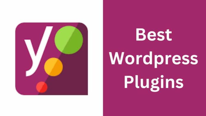 Best WordPress Plugins in Hindi